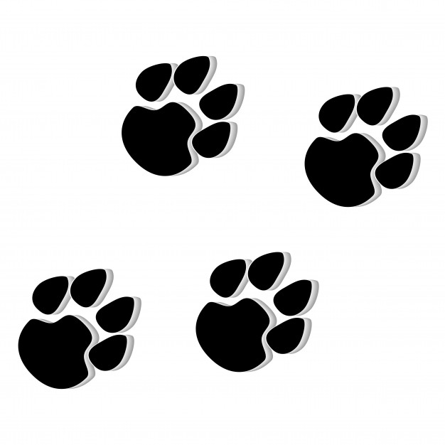 626x626 Paw Vectors, Photos And Psd Files Free Download