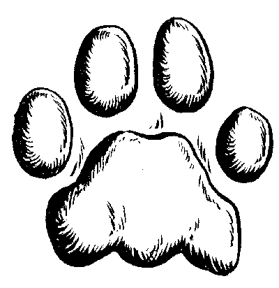 Lion Paw Print Vector at GetDrawings | Free download