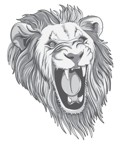 468x556 Lion Vector