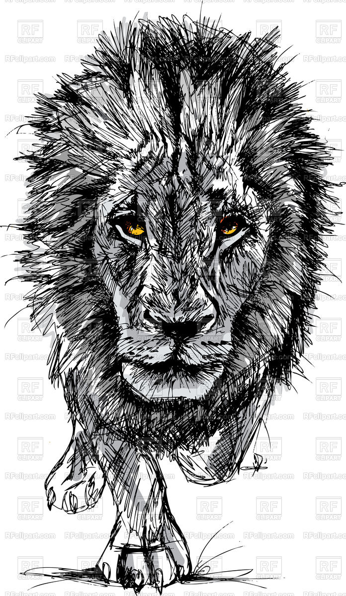 696x1200 Sketch Of A Big African Lion Vector Image Vector Artwork Of