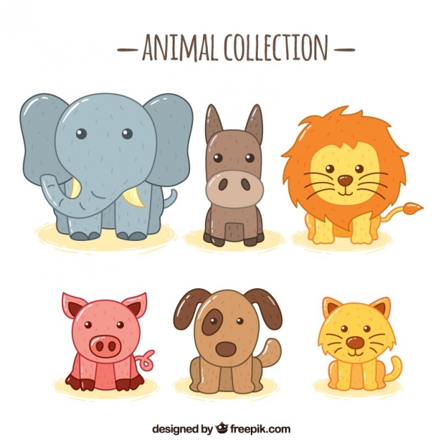 626x626 Lion Vectors, Photos And Psd Files Free Download