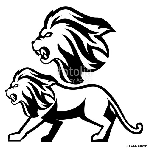 500x500 Lineart Lion Vector Art Set Head And Full Body Stock Image And