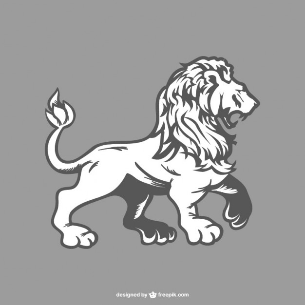 626x626 Hand Drawn Lion Vector Free Download