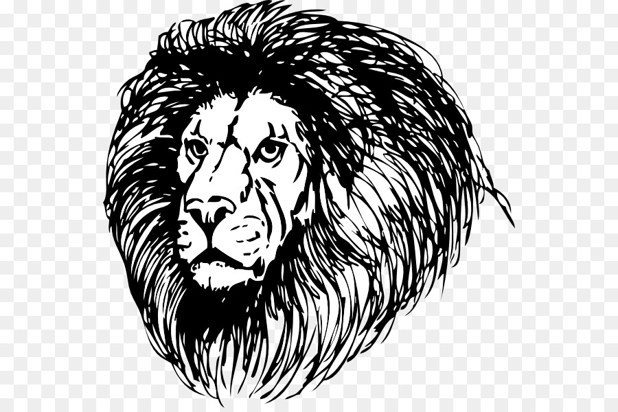 900x600 Lion Mane Clip Art