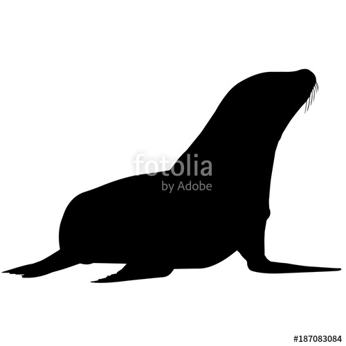 500x500 Sea Lion Silhouette Vector Graphics Stock Image And Royalty Free