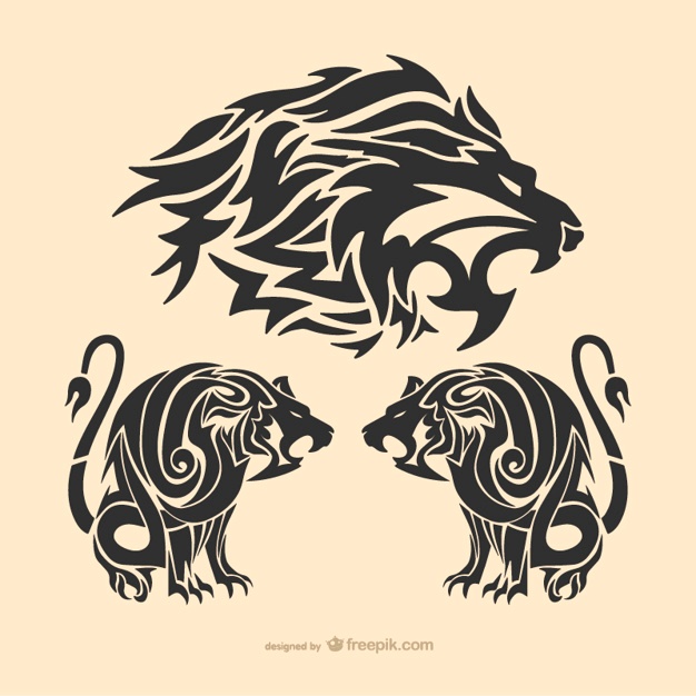 626x626 Lion Vectors, Photos And Psd Files Free Download