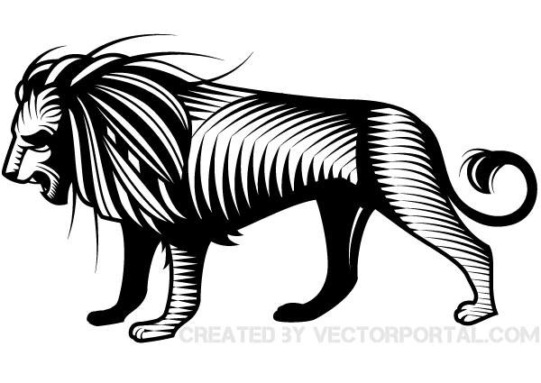 600x425 Collection Of Lion Vector Drawing High Quality, Free