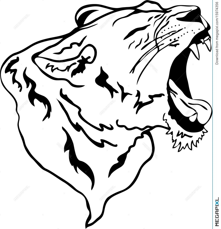 773x800 Lioness Clipart Vector 2