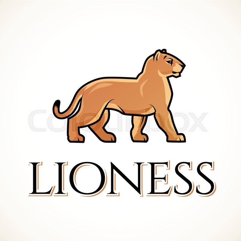 800x800 Lioness Logo Vector. Lion Design Template. Shop Or Boutique