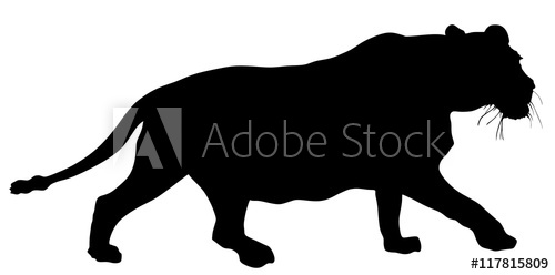 500x248 Lioness Vector Silhouette Illustration Isolated On White