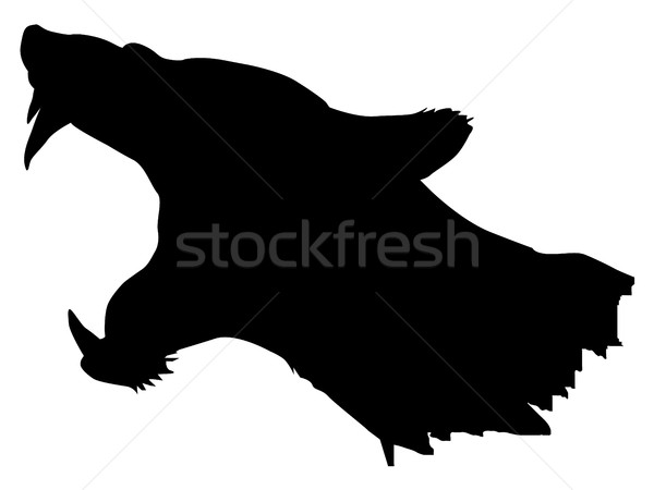 600x450 Lioness Vector Illustration Oleksandr Kovalenko (Perysty