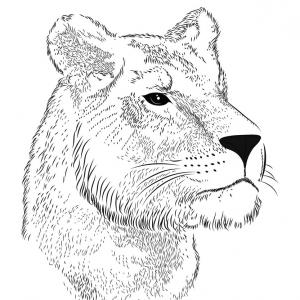 300x300 Clipart Of A Tired Running Lioness Royalty Free Vector