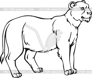 300x256 Lioness