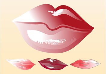 352x246 Lips Mark Free Vector Download 211537 Cannypic