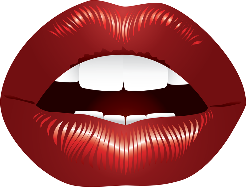 800x606 Lips Vector