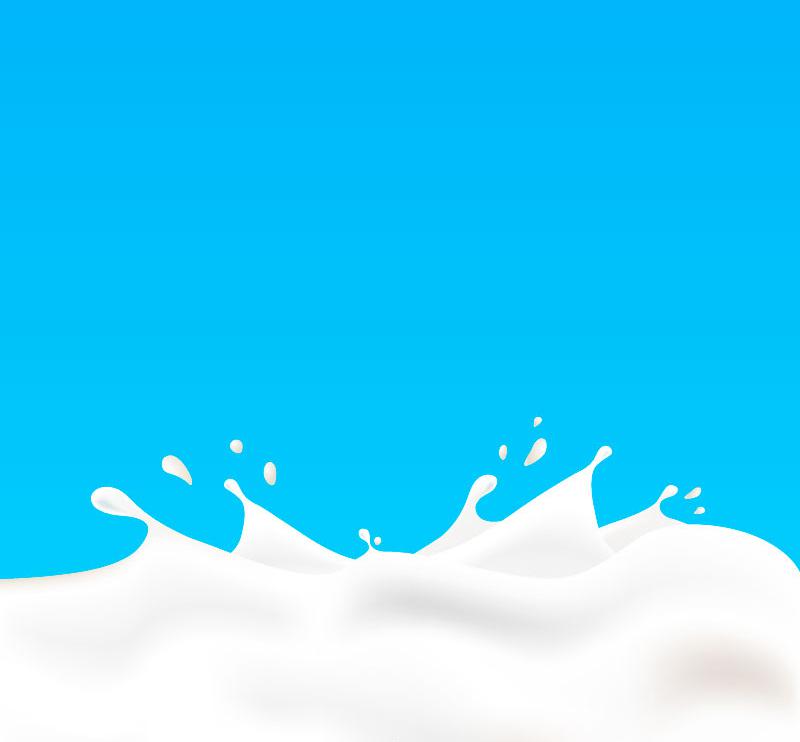 800x742 Splash Liquid Milk Vector [Ai]