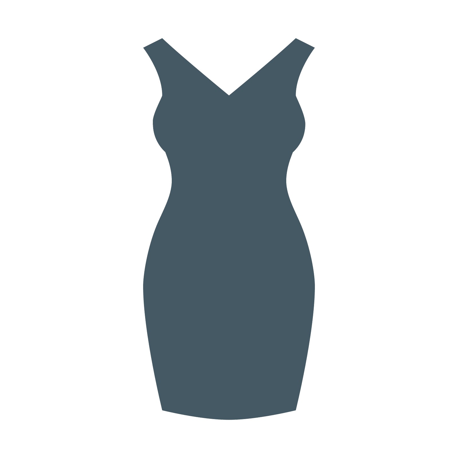1600x1600 Dress Vector