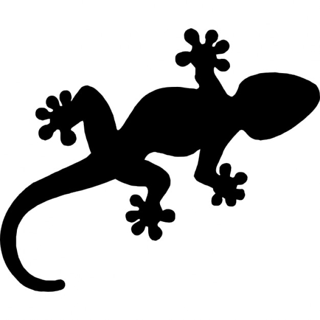 626x626 Gecko Reptile Shape Icons Free Download