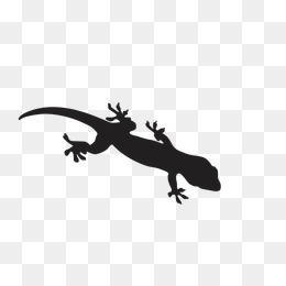 260x260 Lizard Vector Png Images Vectors And Psd Files Free Download