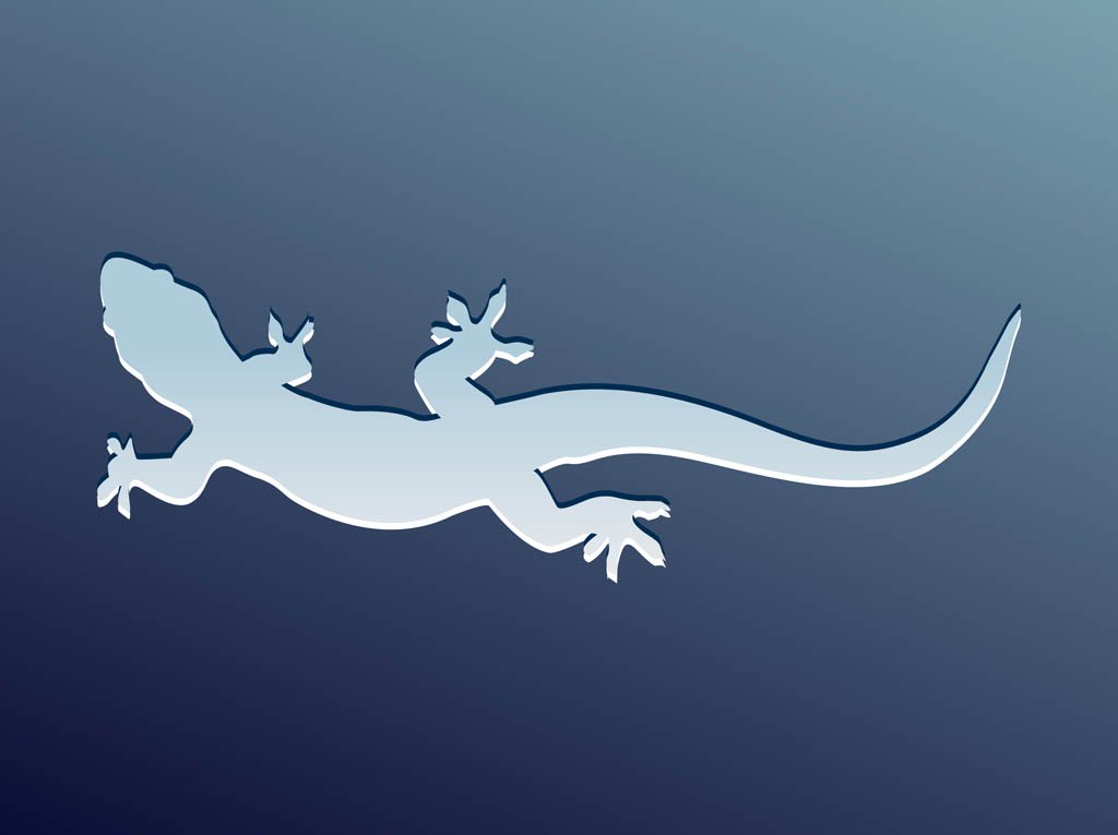 1024x765 Lizard Vector Vector Art Amp Graphics