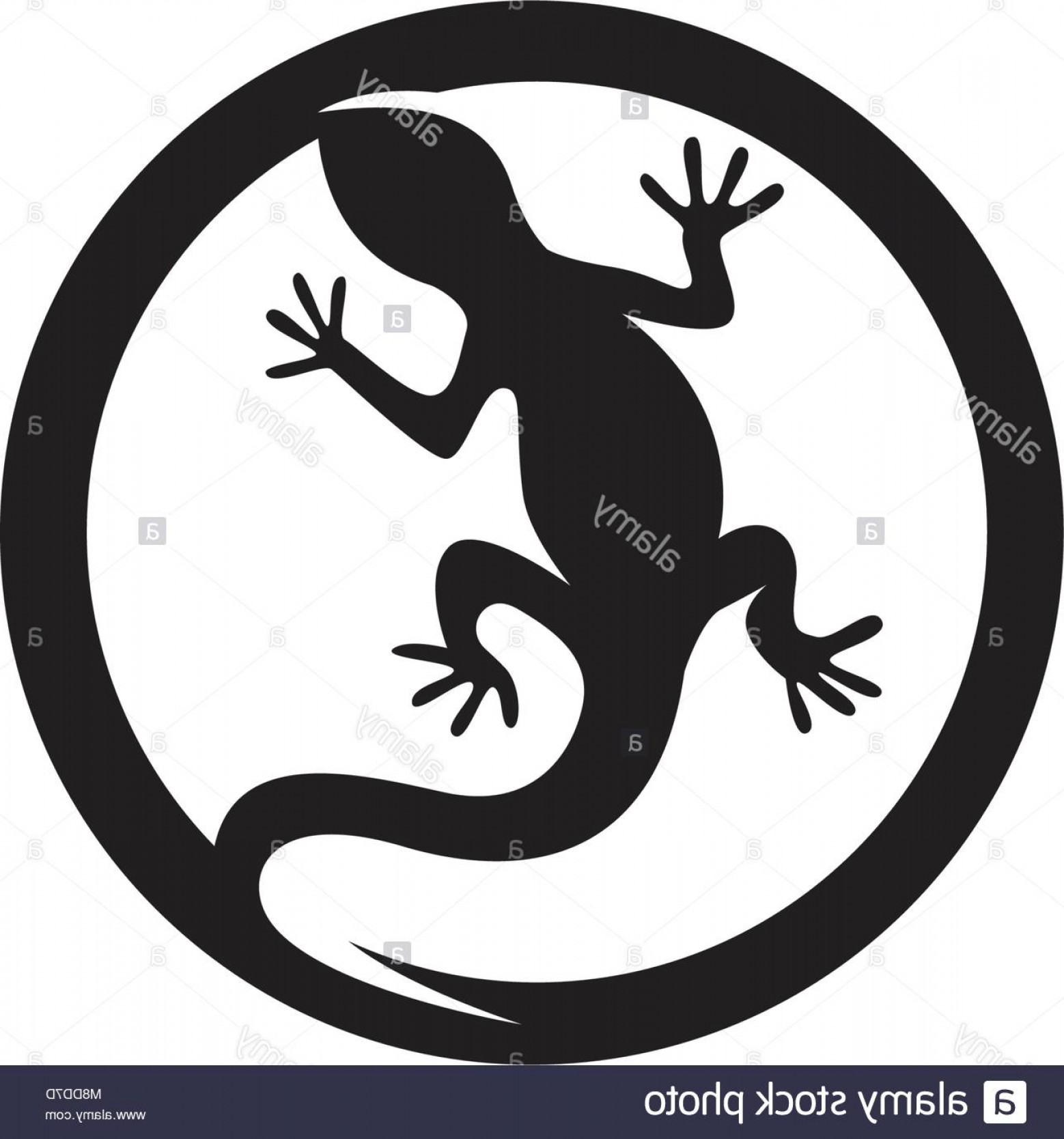 1558x1668 Stock Photo Lizard Vector Icon Logo And Symbols Template Arenawp