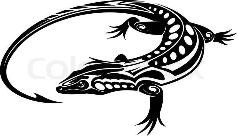 800x460 Black Iguana Lizard Stock Vector Colourbox