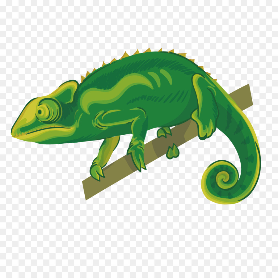 900x900 Chameleons Reptile Lizard