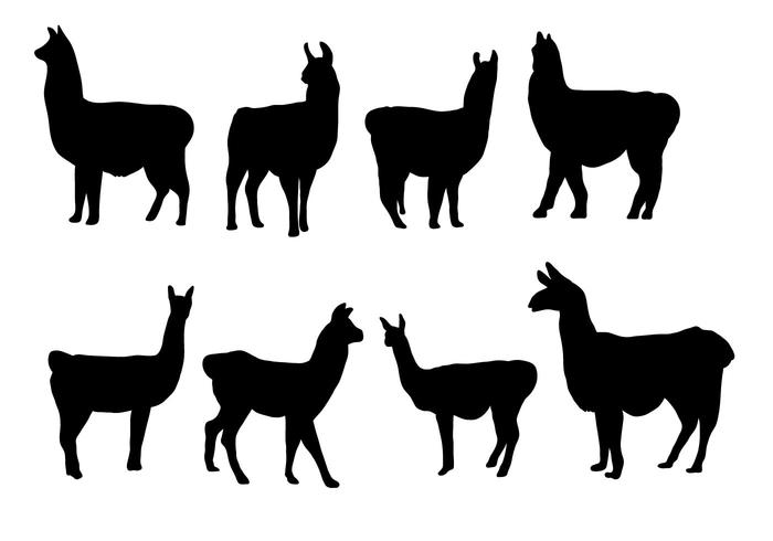 700x490 Free Silhouette Llama Vector