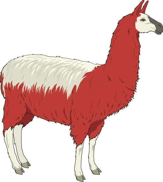 536x600 Llama 2 Free Vector In Open Office Drawing Svg ( .svg ) Vector