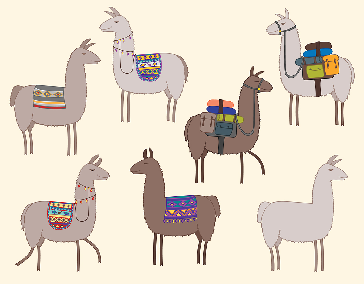 1200x938 Llamas! Set Of Vector Graphics On Behance