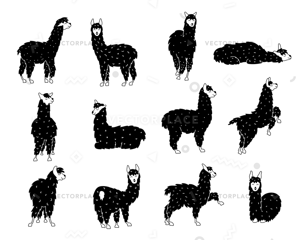 1000x783 Set Characters South America Cute Llama Vector Illustration 72997