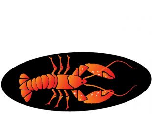 310x233 Lobster Vector Free Vectors Ui Download