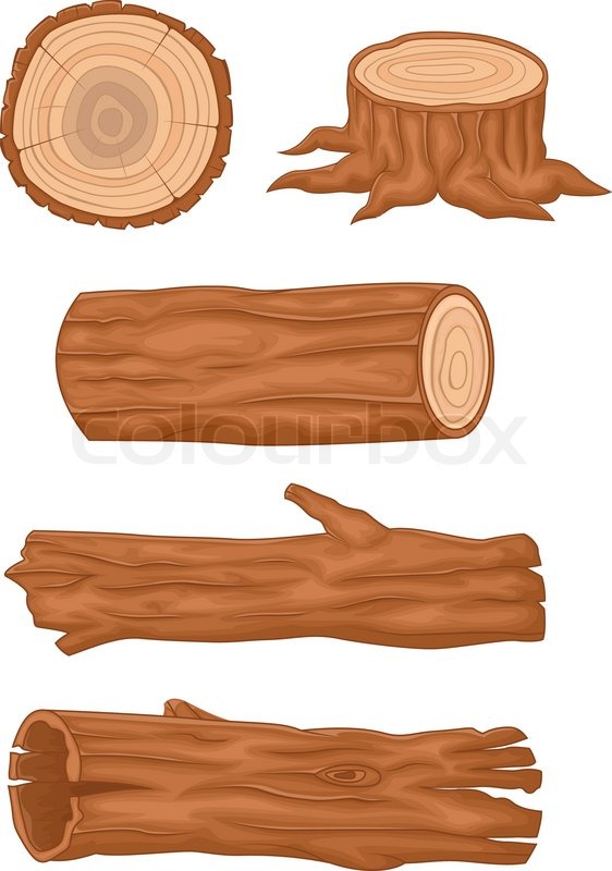 562x800 Vector Illustration Of Wooden Log Cartoon Collection Stock