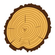 190x190 Wooden Stump, Wood Log In Cartoon Style Outline Premium Clipart