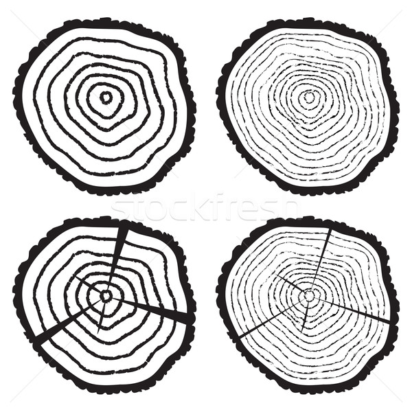 600x600 Vector Wooden Cut Of A Tree Log Vector Illustration Dmitry