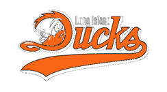 244x135 Free Download Of Long Island Lizards Vector Logo