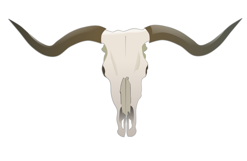 800x522 Collection Of Free Longhorn Vector Clipart. Download On Ubisafe