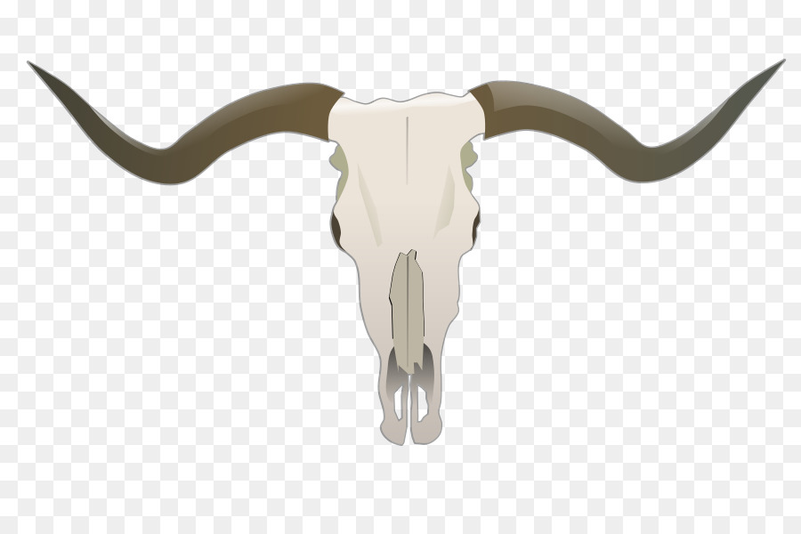 900x600 Texas Longhorn English Longhorn Skull Clip Art