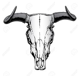 260x246 Download Bull Skull Vector Clipart Texas Longhorn Clip Art
