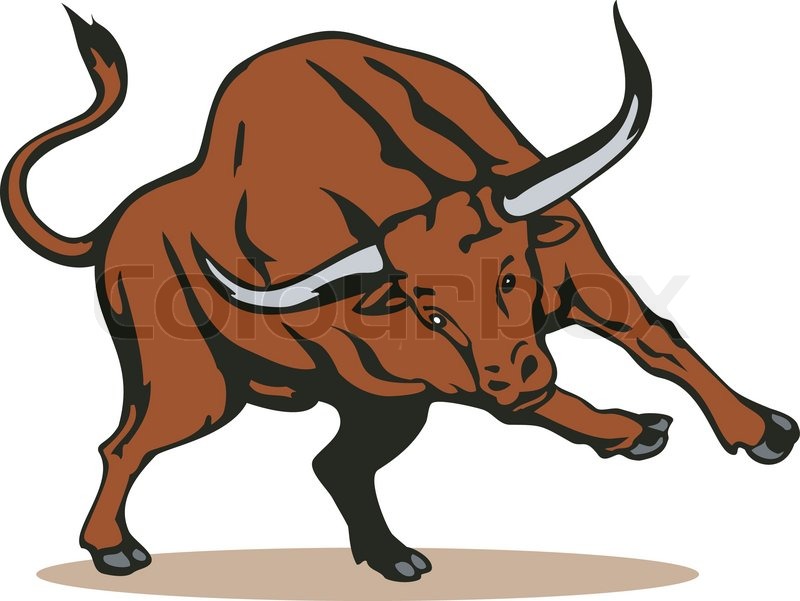 800x601 Texas Longhorn Bull Charging Stock Vector Colourbox