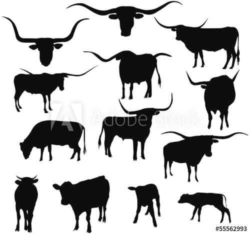 500x468 Texas Longhorn Cows Silhouettes Collection Cattle