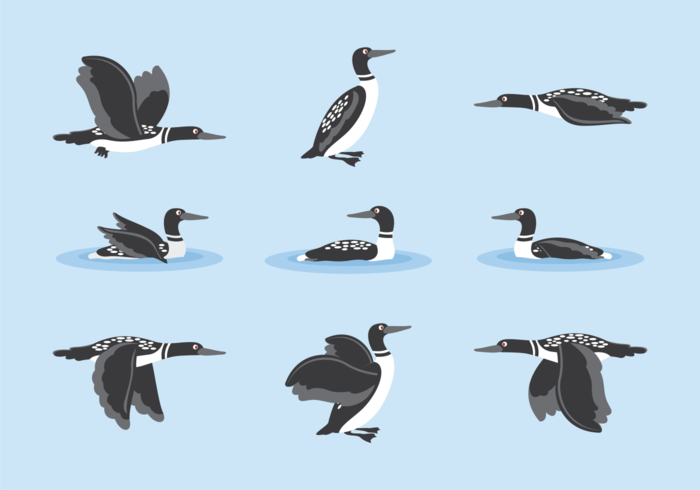 700x490 Loon Cartoon Vector