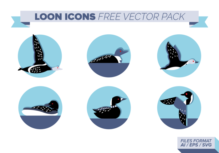 700x490 Loon Free Vector Art