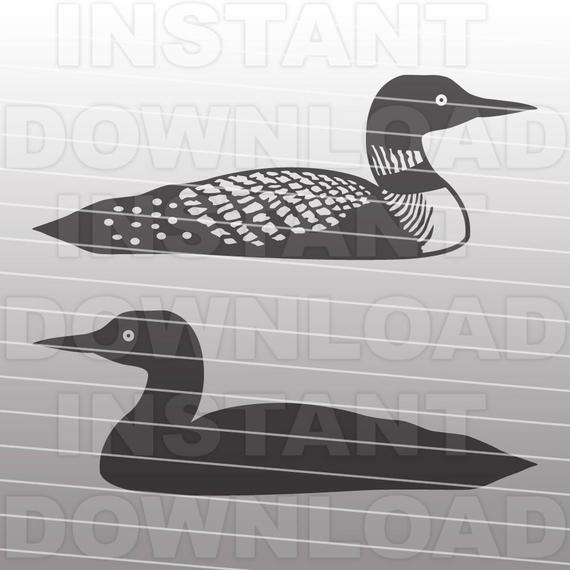 570x570 Loon Svg Fileloon Silhouette Svg Fileloon Cut File Vector Etsy