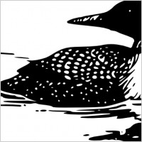 Loon Vector at GetDrawings | Free download