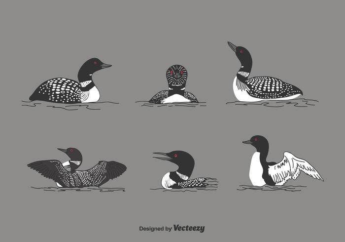700x490 Loon Vector Set