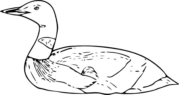 600x321 Loon Vector Free Vector Download (4 Free Vector) For Commercial