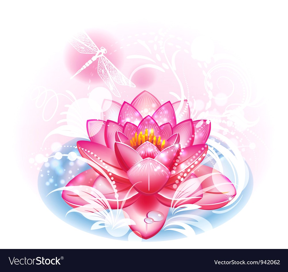 1000x944 Lotus Flower Vector 942062 Images