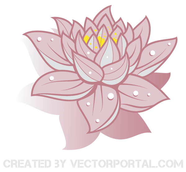 600x555 Lotus Flower Vector Art Free 123freevectors