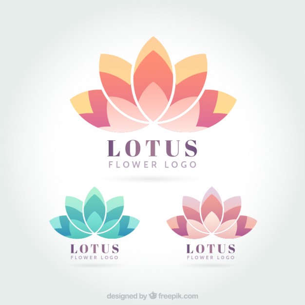 626x626 Lotus Vectors, Photos And Psd Files Free Download